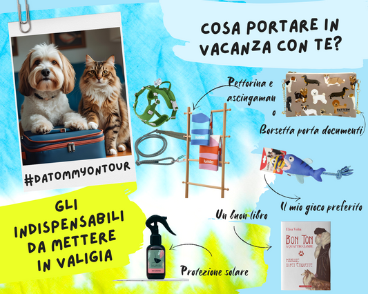 🐾 Ok, hai deciso di partire insieme al tuo migliore amico… Anche noi!!