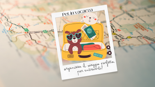 🐾 Portare il Pet in Vacanza: Sì o No? Ecco Come Scegliere la Cosa Giusta per Lui (e per Te)