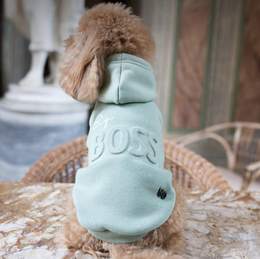 Nuova Collezione di Cappottini Invernali per Cani