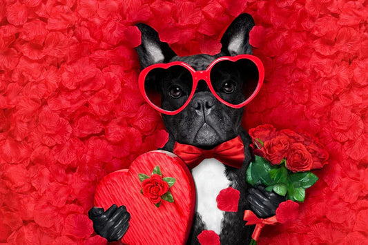 Tutto l'AMORE che meritano