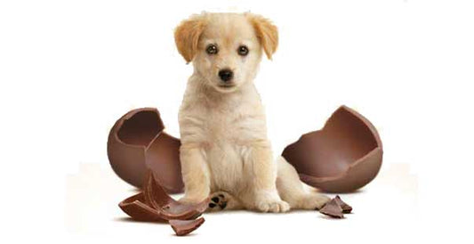 -UNA PASQUA PIU' DOLCE-