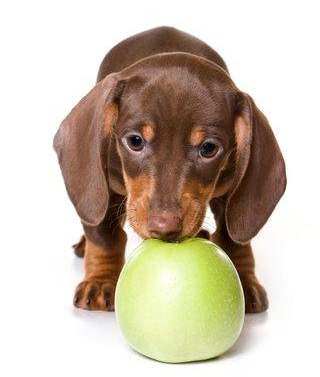 Dite SI alla frutta!!