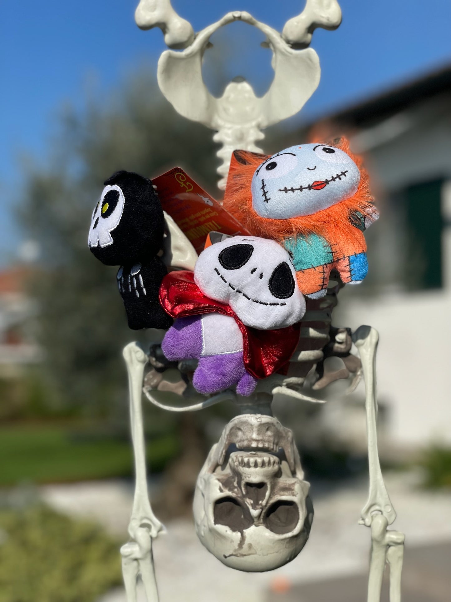 Gioco per Gatti Tremolini Halloween - Ferribiella