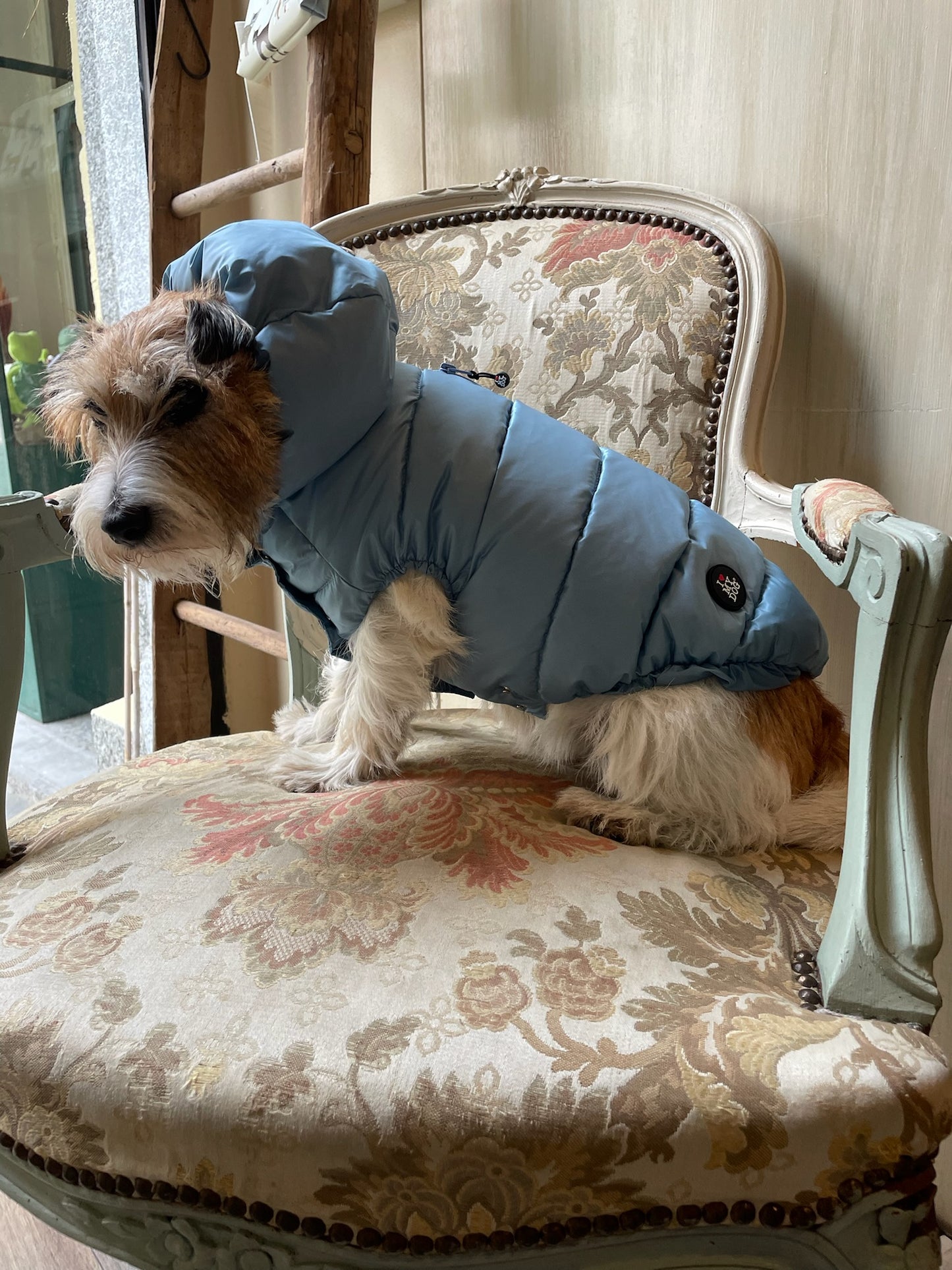 Piumino "Kapsula Superlight Puffer NEW" - I Love My Dog
