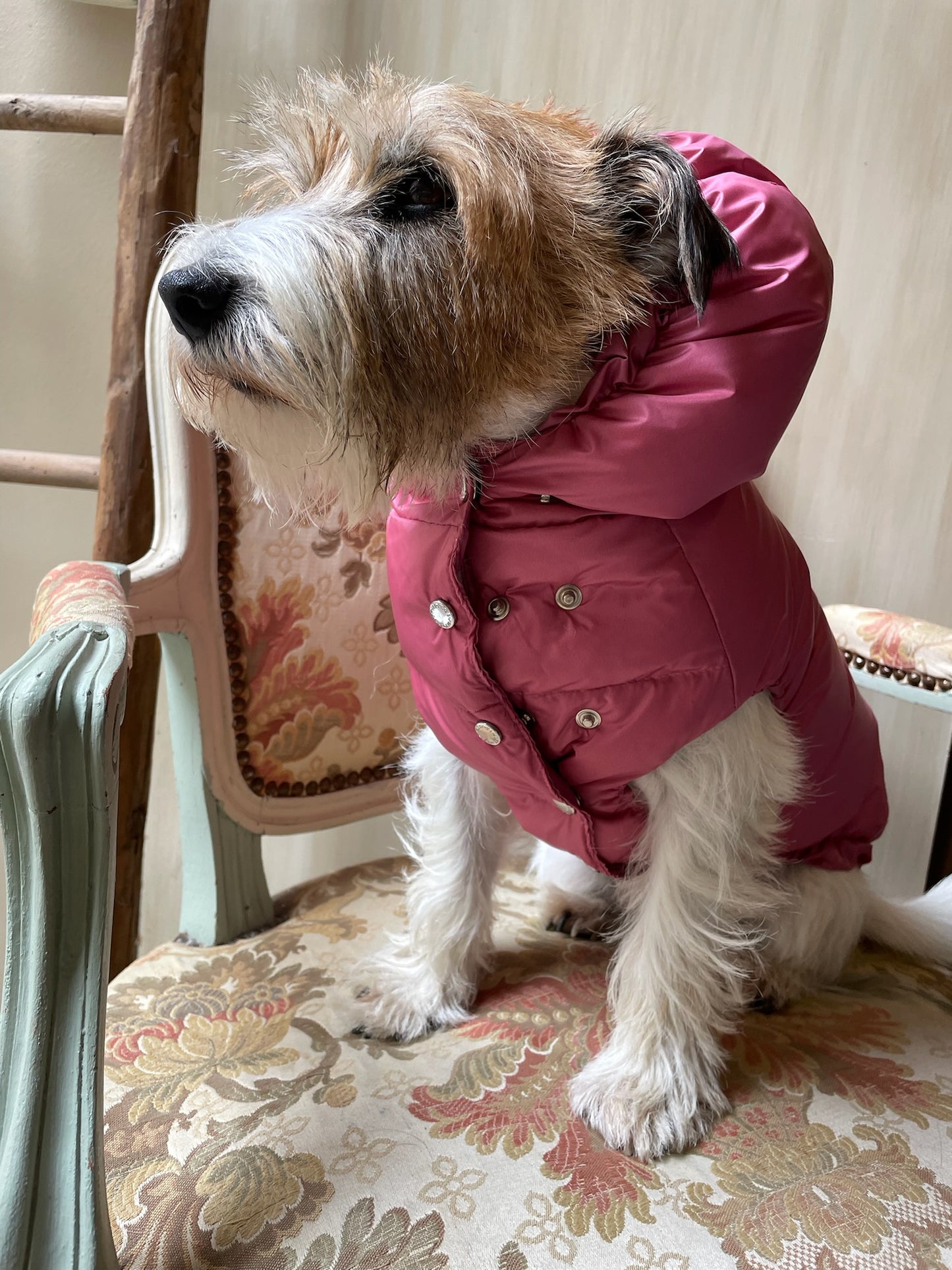 Piumino "Kapsula Superlight Puffer NEW" - I Love My Dog