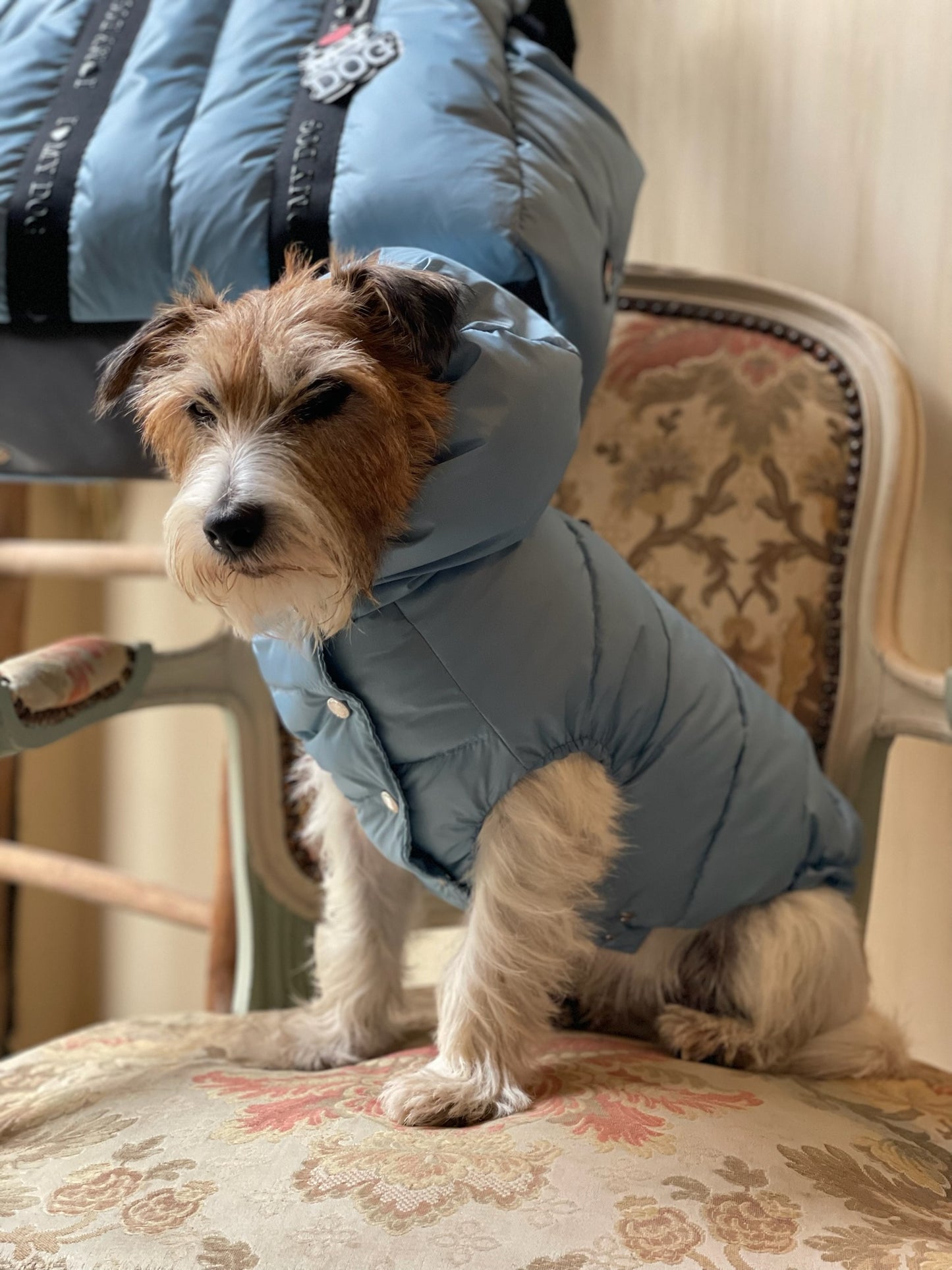 Piumino "Kapsula Superlight Puffer NEW" - I Love My Dog