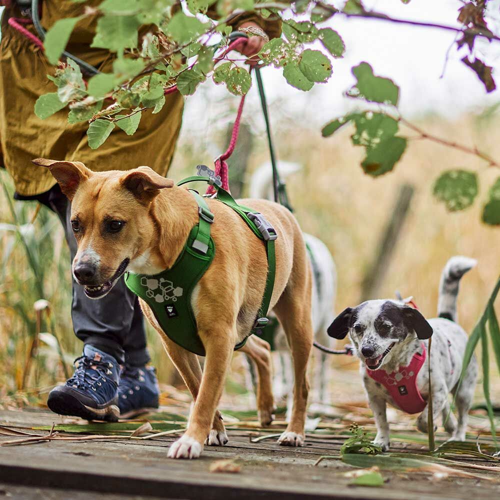 Pettorina ''Weekend Warrior 2 Eco'" - Hurtta