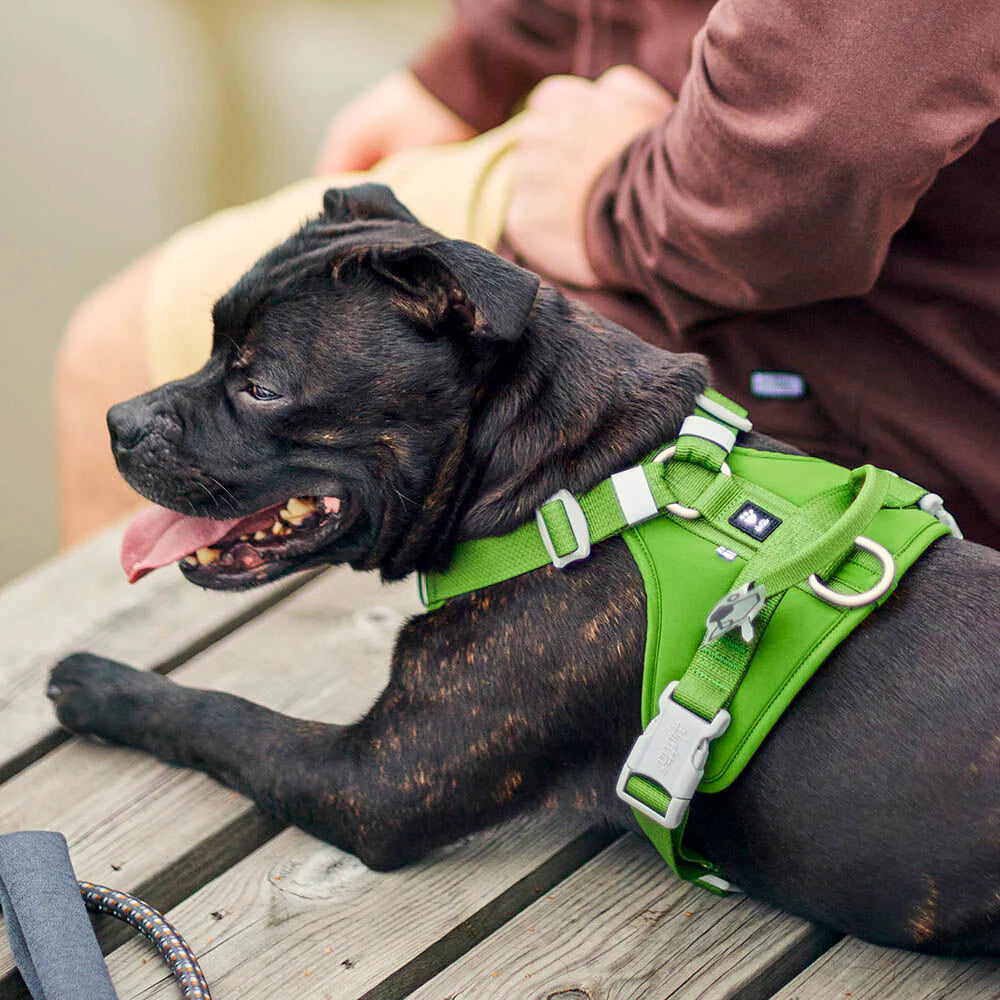 Pettorina ''Weekend Warrior 2 Eco'" - Hurtta
