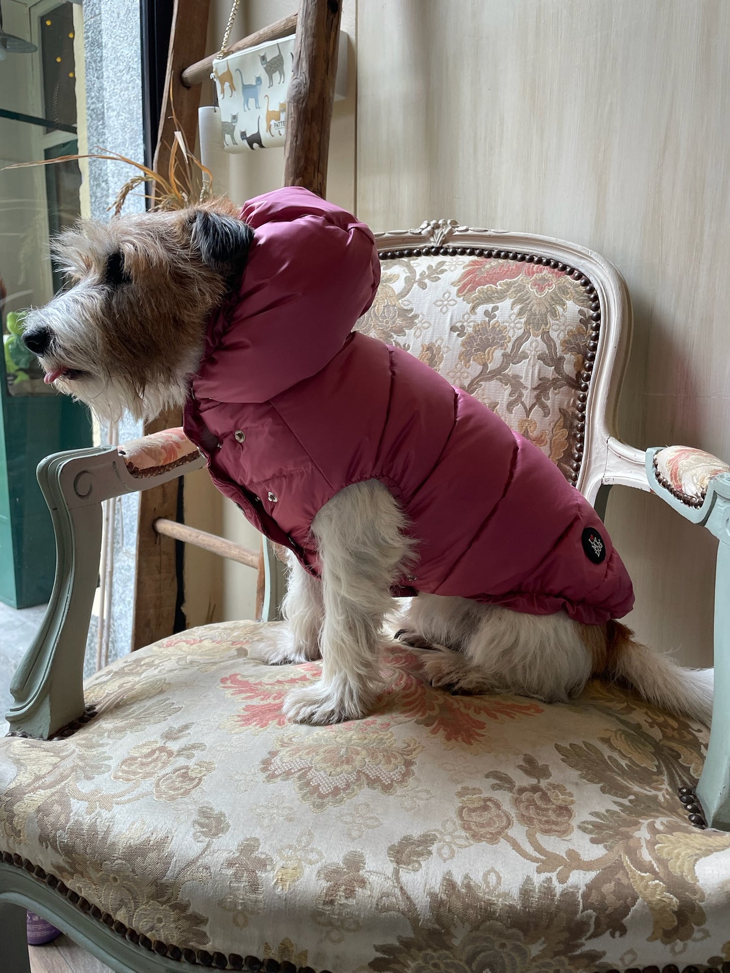 Piumino "Kapsula Superlight Puffer NEW" - I Love My Dog