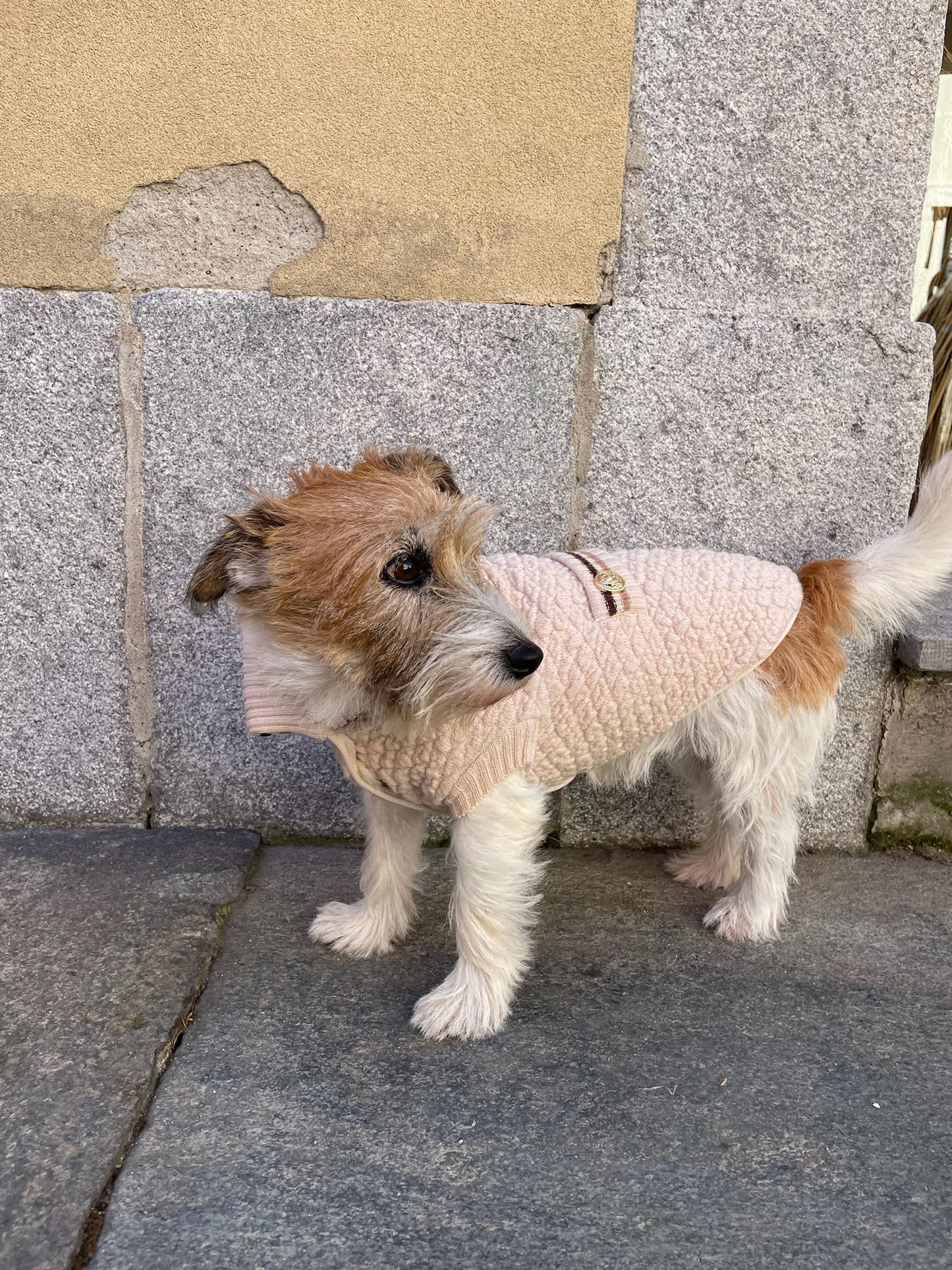Cappotto "Gìgì Goffrato" - My Dog