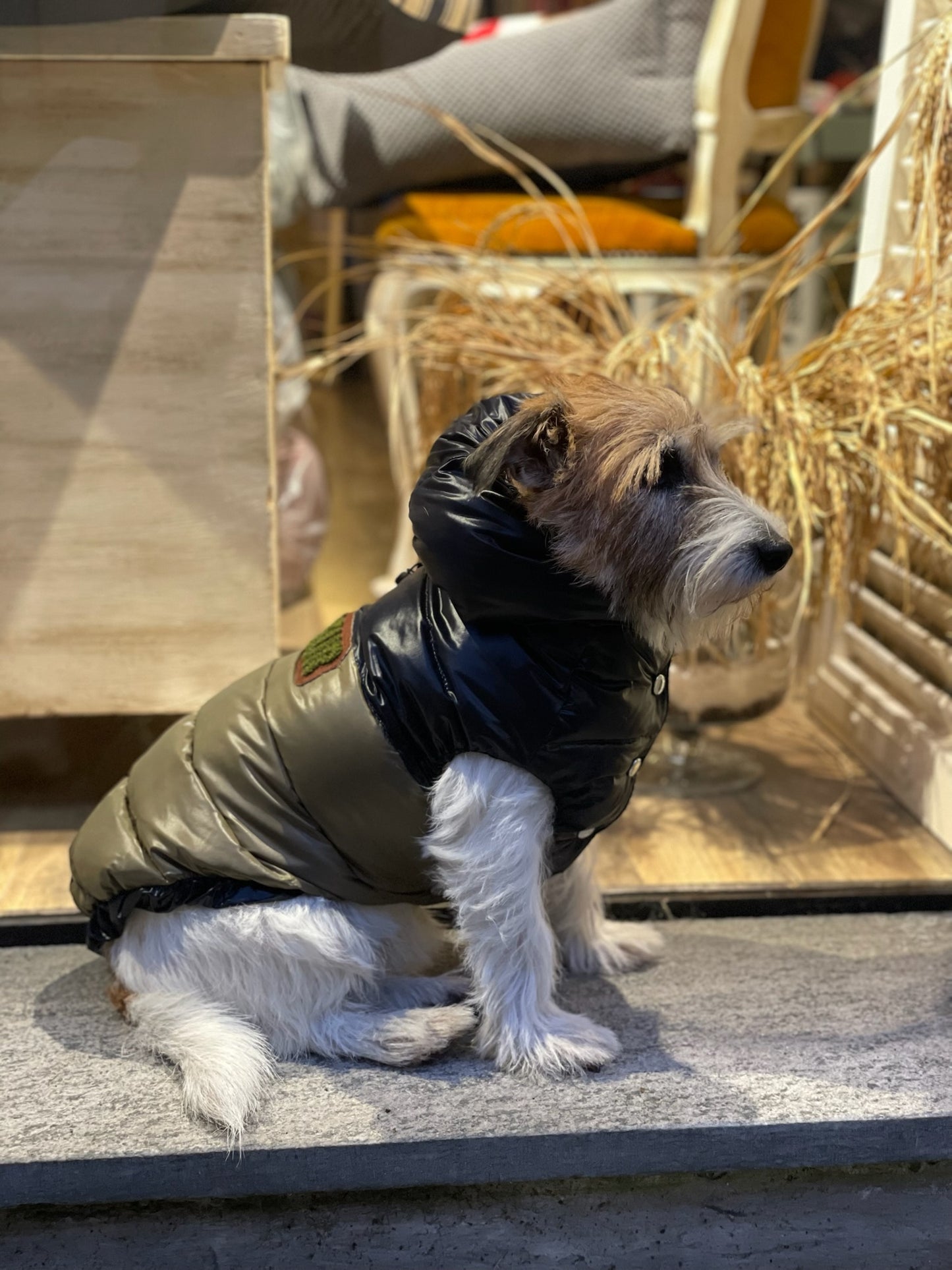 Piumino "Bicolor Winter Puffer" - I Love My Dog
