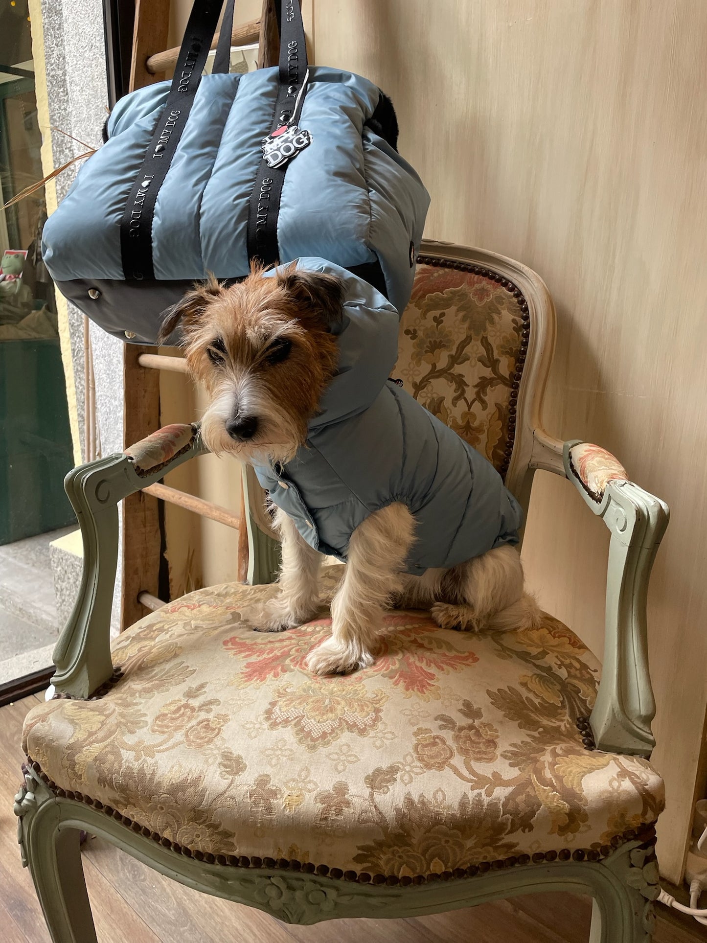 Piumino "Kapsula Superlight Puffer NEW" - I Love My Dog