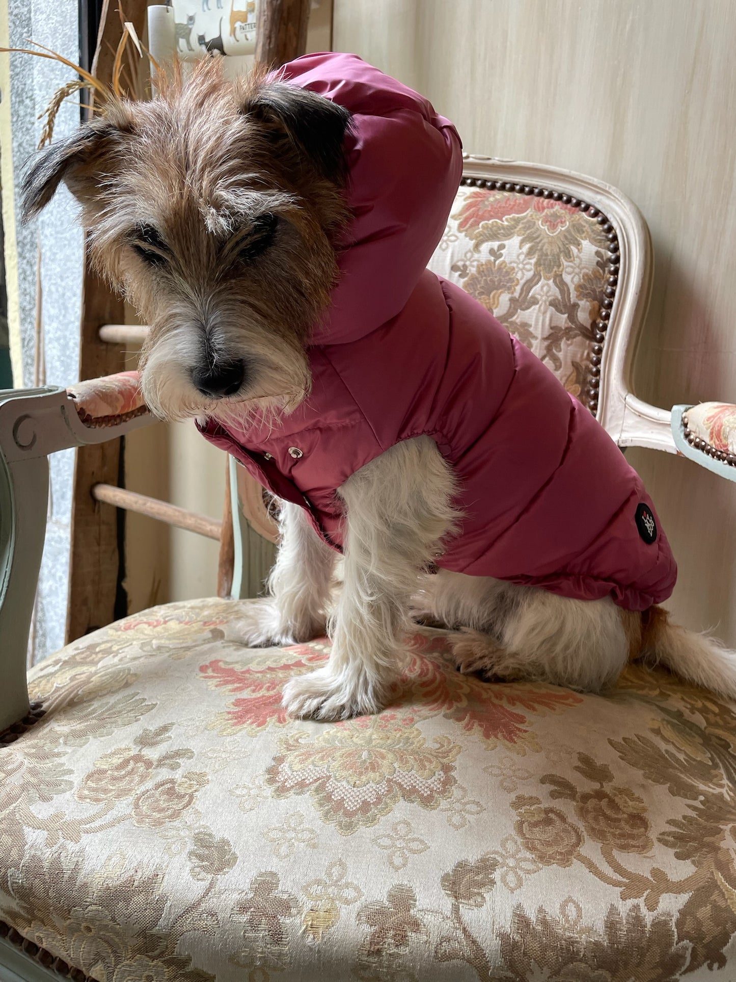 Piumino "Kapsula Superlight Puffer NEW" - I Love My Dog