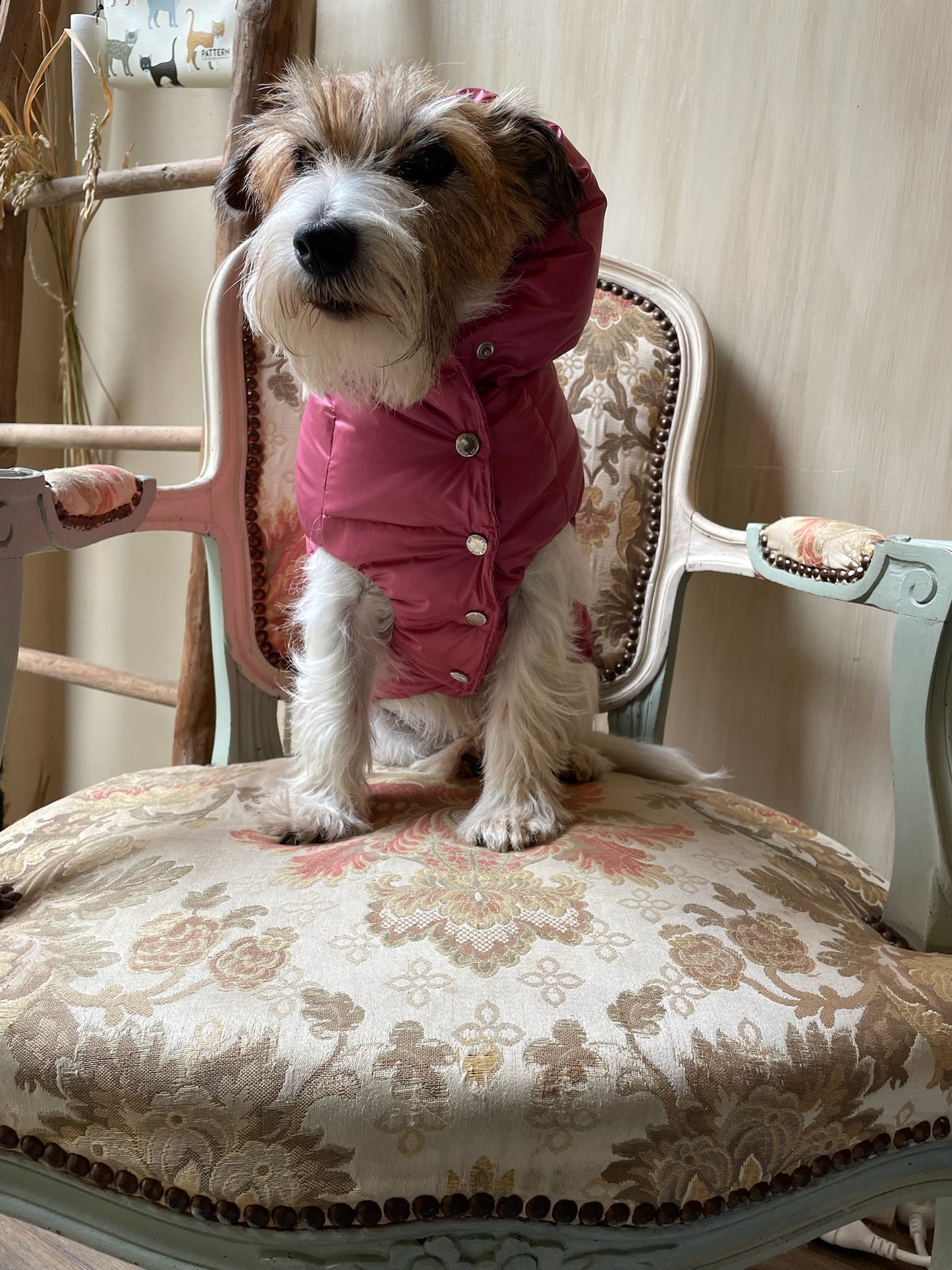 Piumino "Kapsula Superlight Puffer NEW" - I Love My Dog