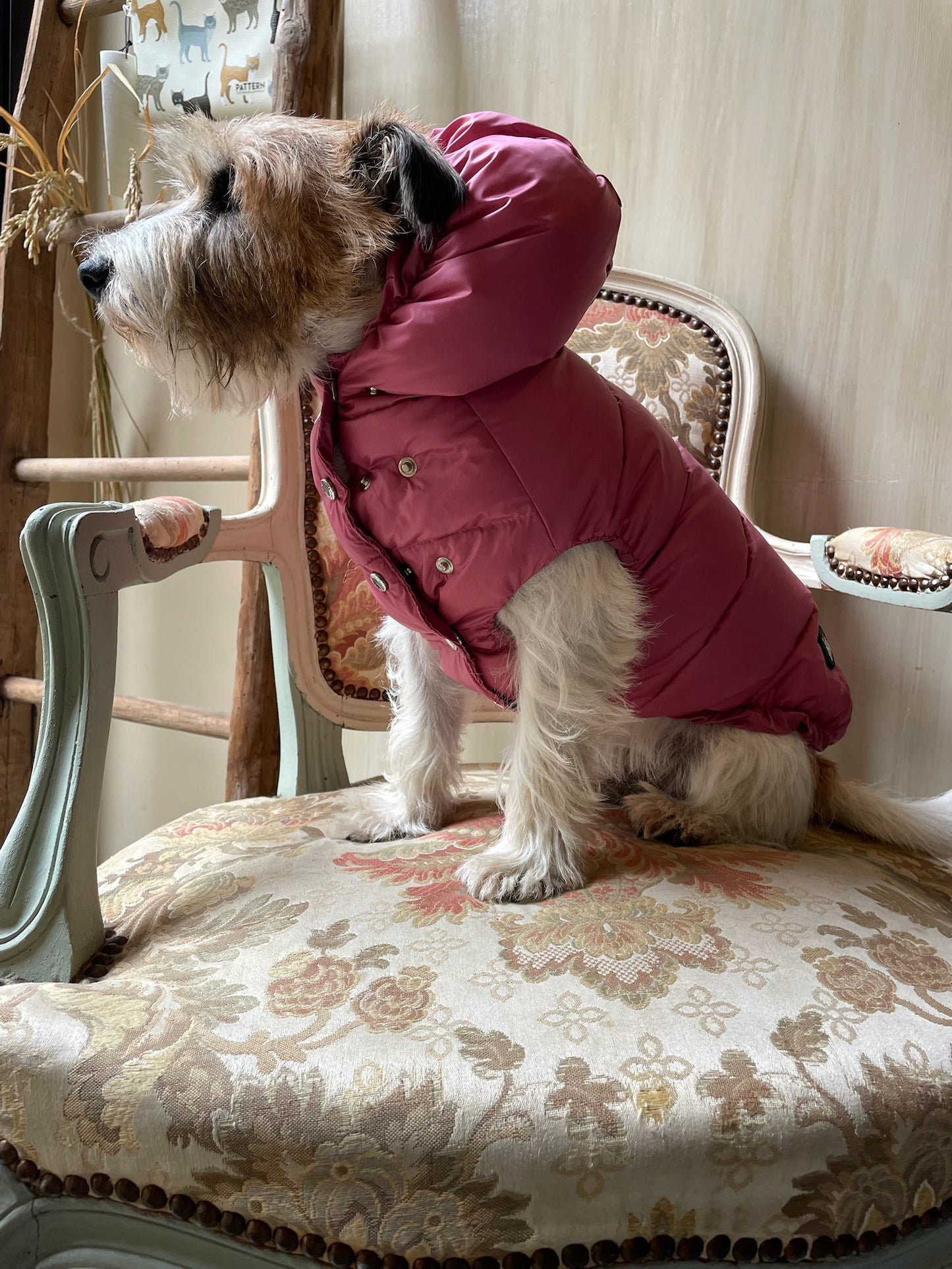 Piumino "Kapsula Superlight Puffer NEW" - I Love My Dog