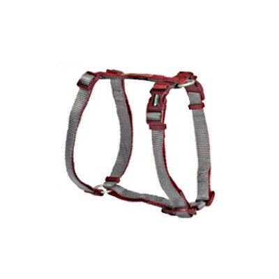 Pettorina H Bicolor "Double Premium" - Camon