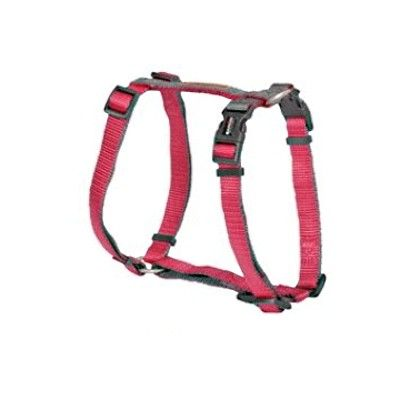 Pettorina H Bicolor "Double Premium" - Camon