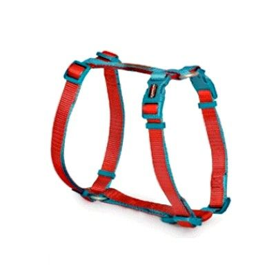 Pettorina H Bicolor "Double Premium" - Camon