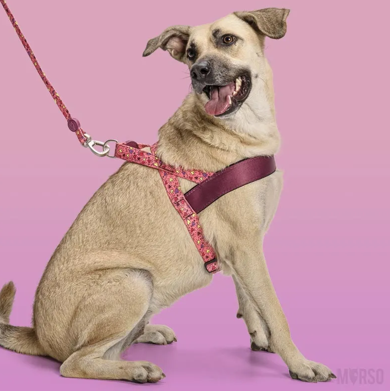 Pettorina norvegese "Pink Think" - Morso