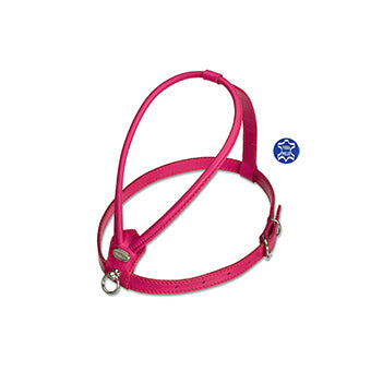 Accessorio elegante per cani con tubolari delicati sul pelo