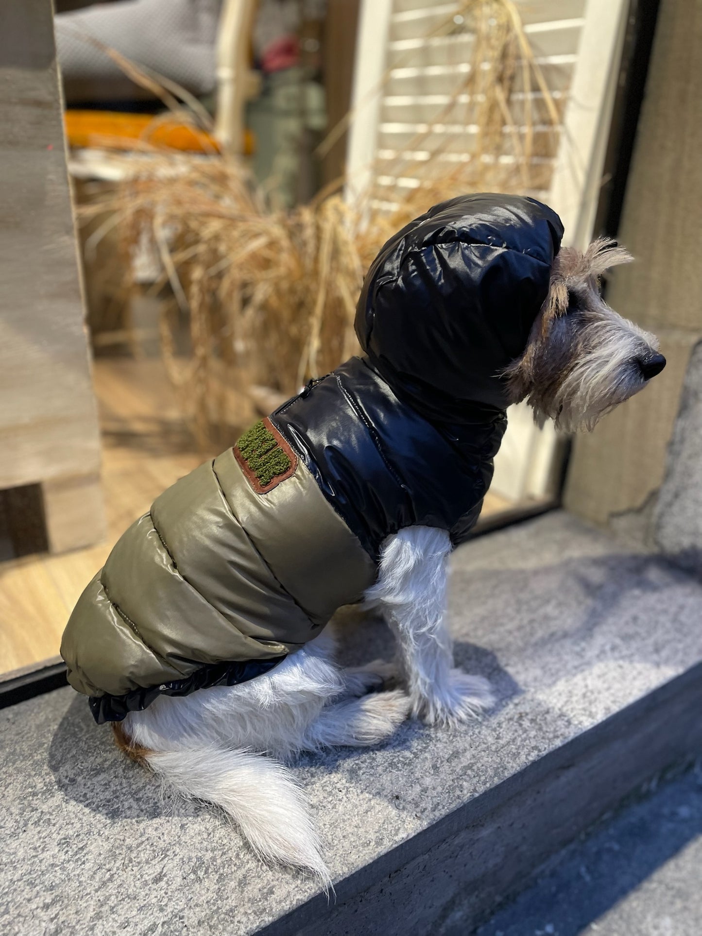 Piumino "Bicolor Winter Puffer" - I Love My Dog