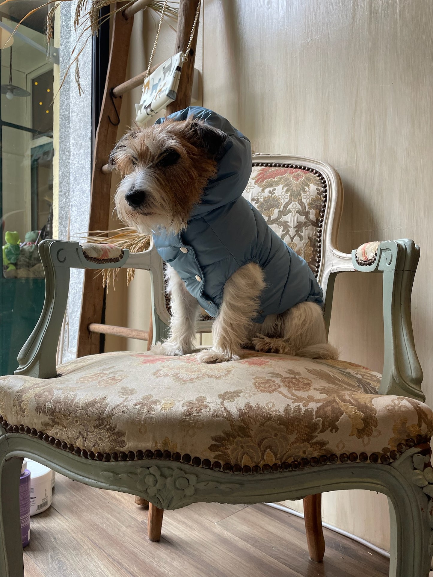 Piumino "Kapsula Superlight Puffer NEW" - I Love My Dog