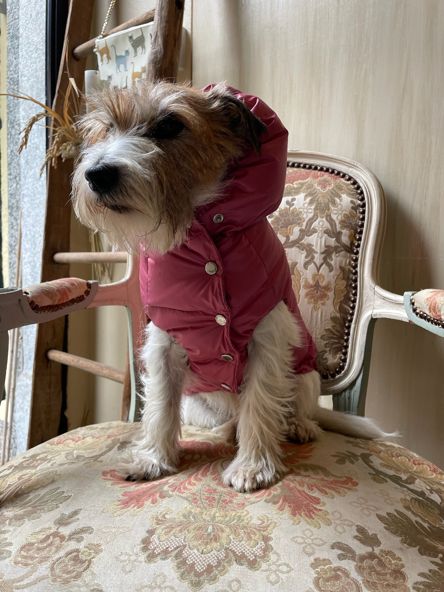 Piumino "Kapsula Superlight Puffer NEW" - I Love My Dog