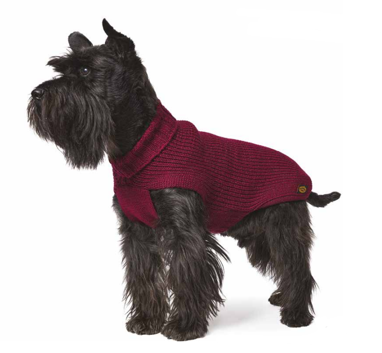 Maglione Melange - Fashion Dog