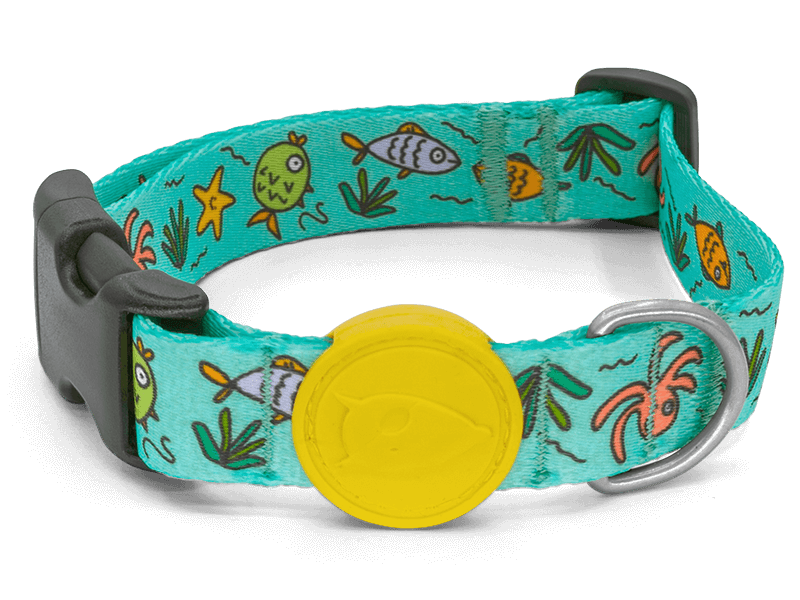 Collare "Ocean Trek" Recycled - Morso
