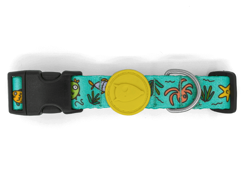 Collare "Ocean Trek" Recycled - Morso
