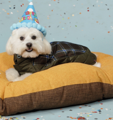 Cappottino "Edimburgo" - Camon