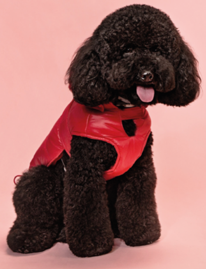 Piumino "Oslo" - Camon