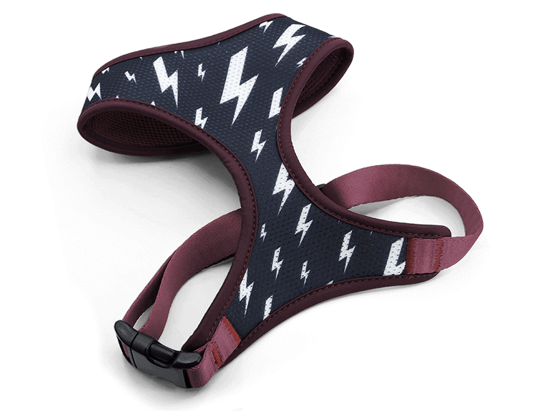 Pettorina Airmesh "Power Flow" Recycled - Morso