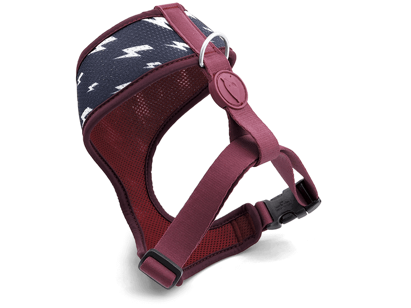 Pettorina Airmesh "Power Flow" Recycled - Morso