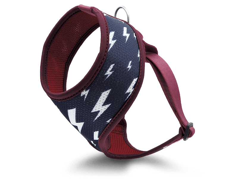 Pettorina Airmesh "Power Flow" Recycled - Morso
