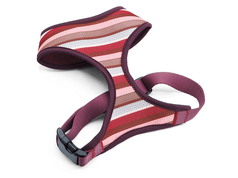 Pettorina Airmesh "Skyline" Recycled - Morso