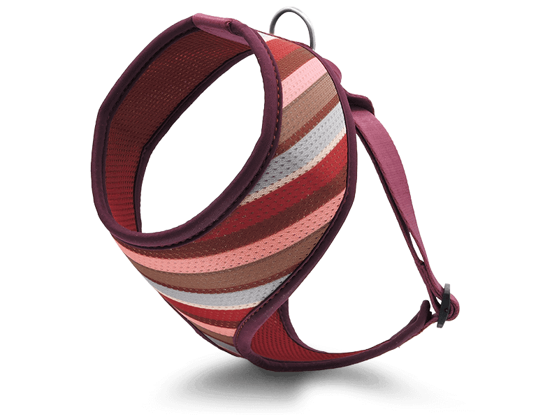 Pettorina Airmesh "Skyline" Recycled - Morso