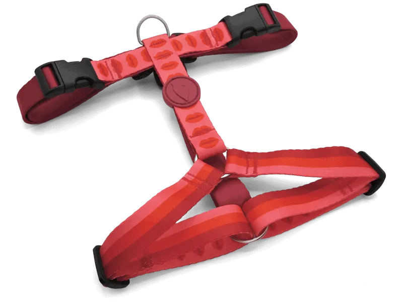 Pettorina H "Lipstick" RECYCLED - Morso