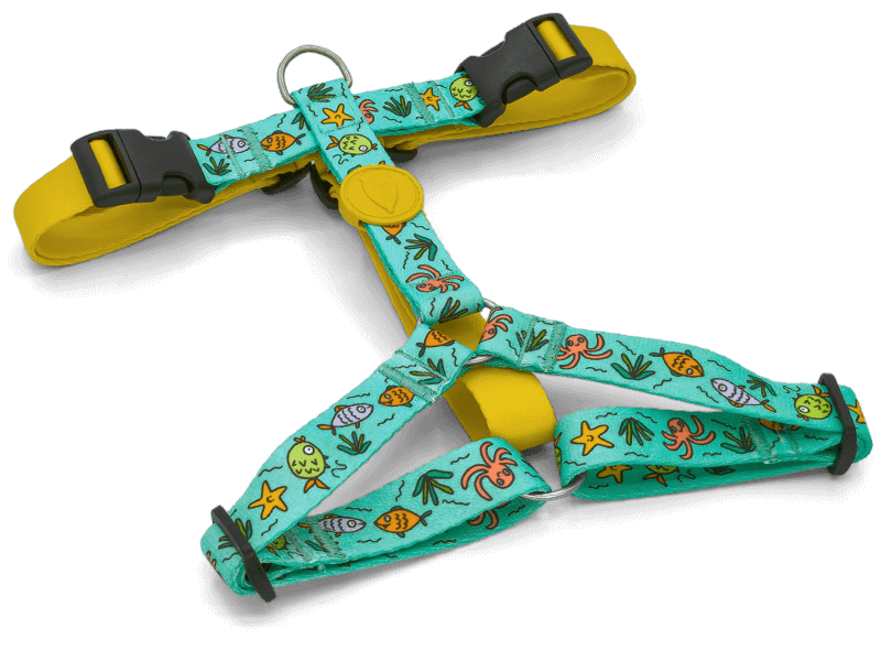 Pettorina H "Ocean Trek" Recycled - Morso
