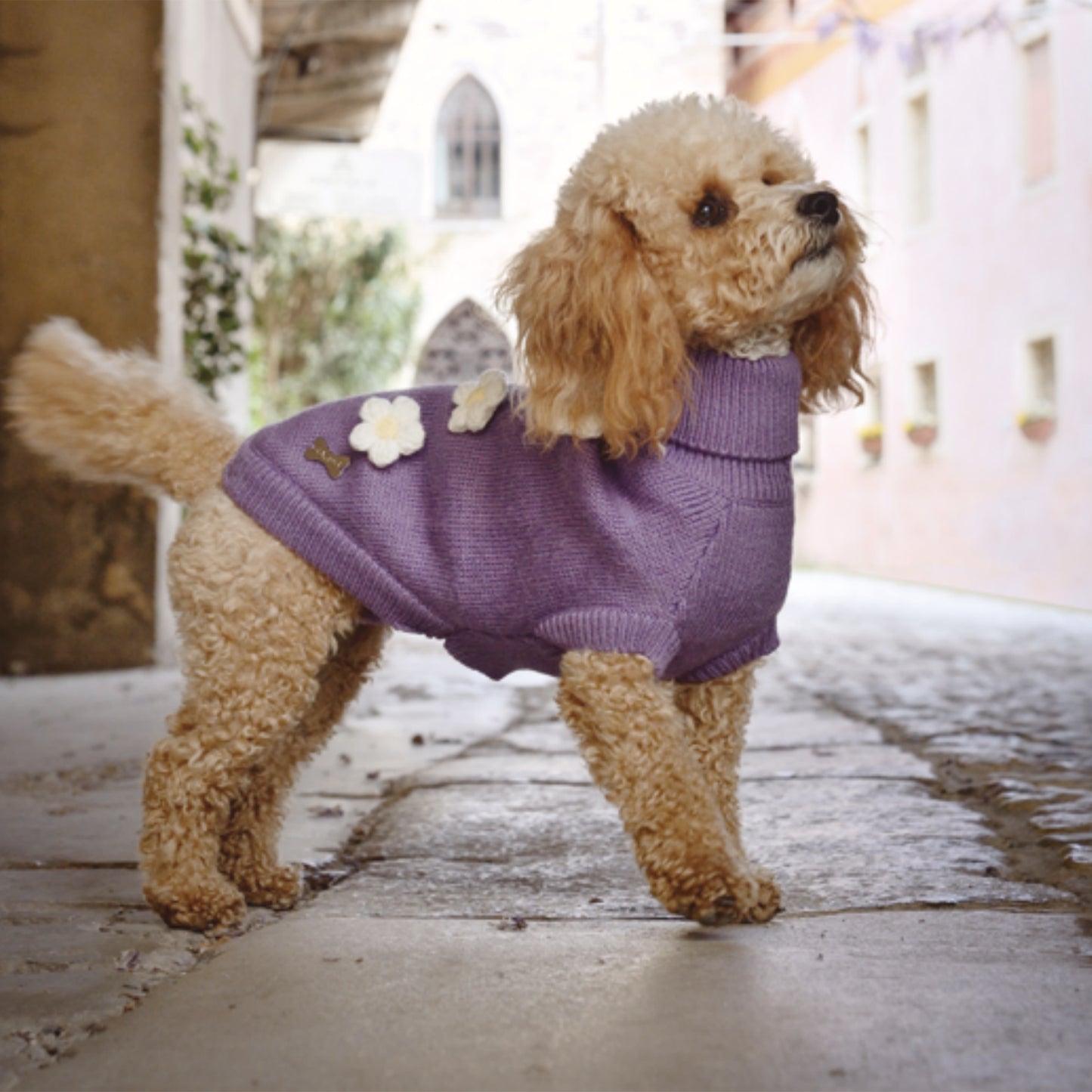 Maglioncino “Viola" - Camon