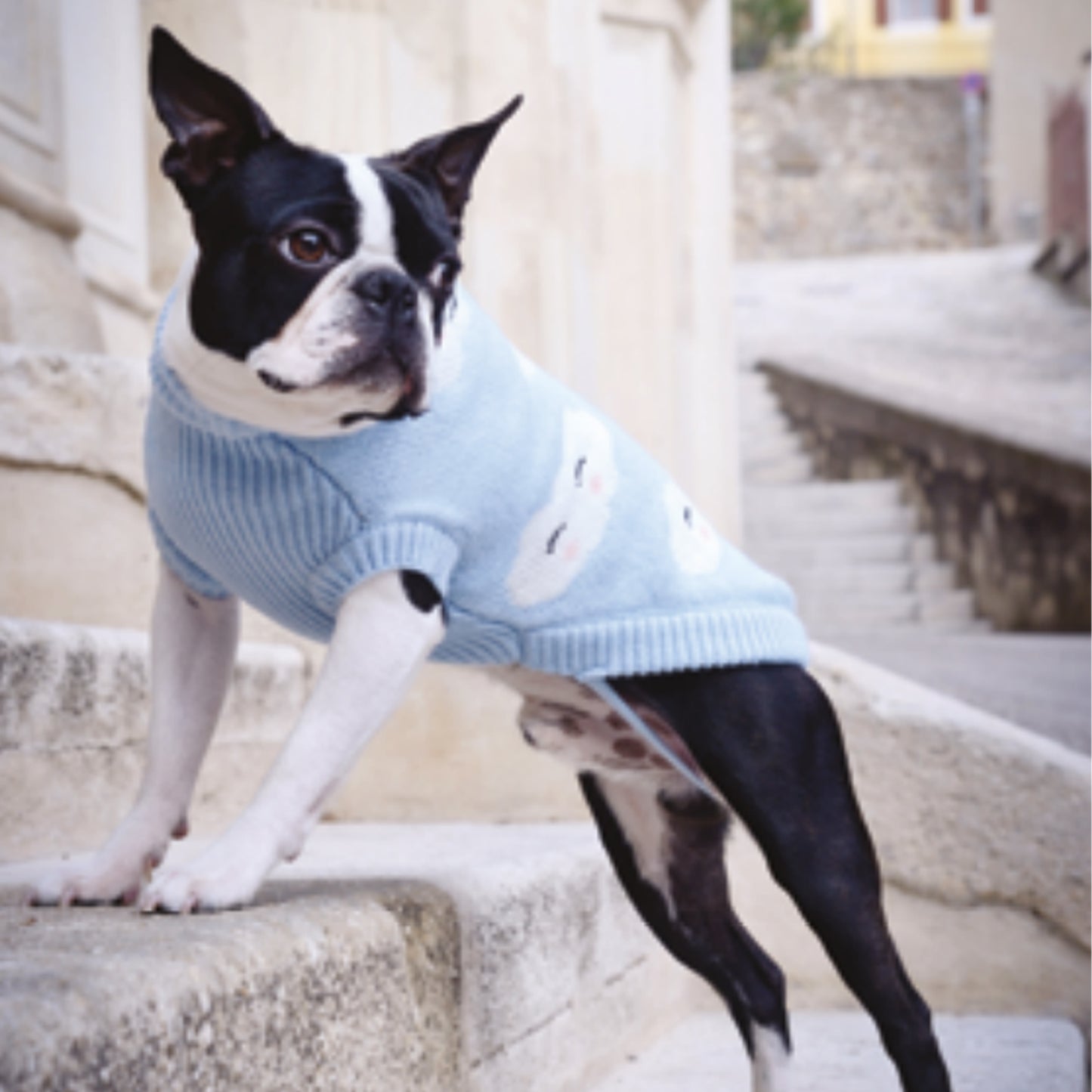 Maglioncino “Cloudy” - Camon