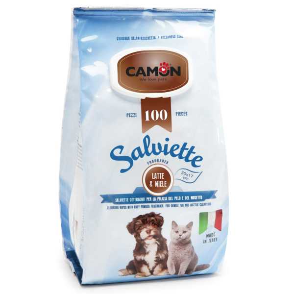 Salviette Igienizzanti "Maxi Formato" (100 salviette) - Camon