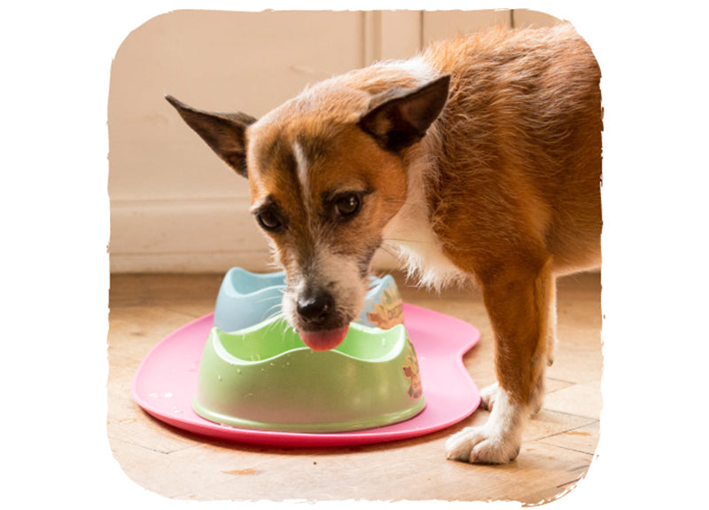 Tappetino Sottociotola "Beco Mat" - Beco Pets