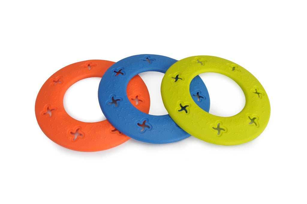 Gioco "Frisbee in TPR" - Camon