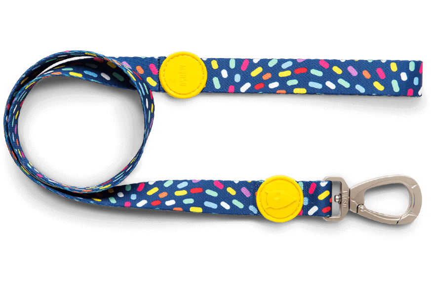 Guinzaglio "Color Invaders" - Morso