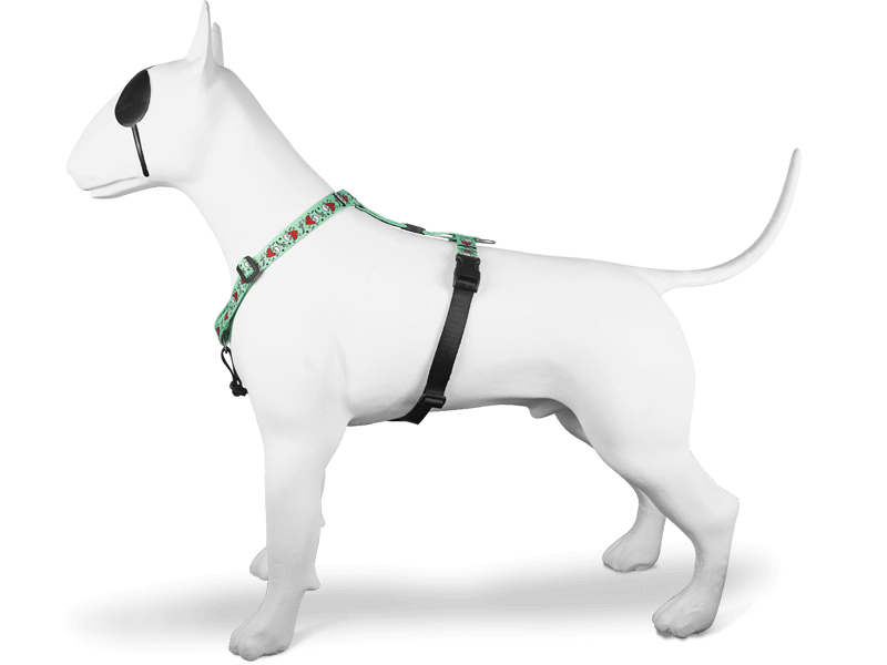 Pettorina ad H "Jolly Roger" - Morso