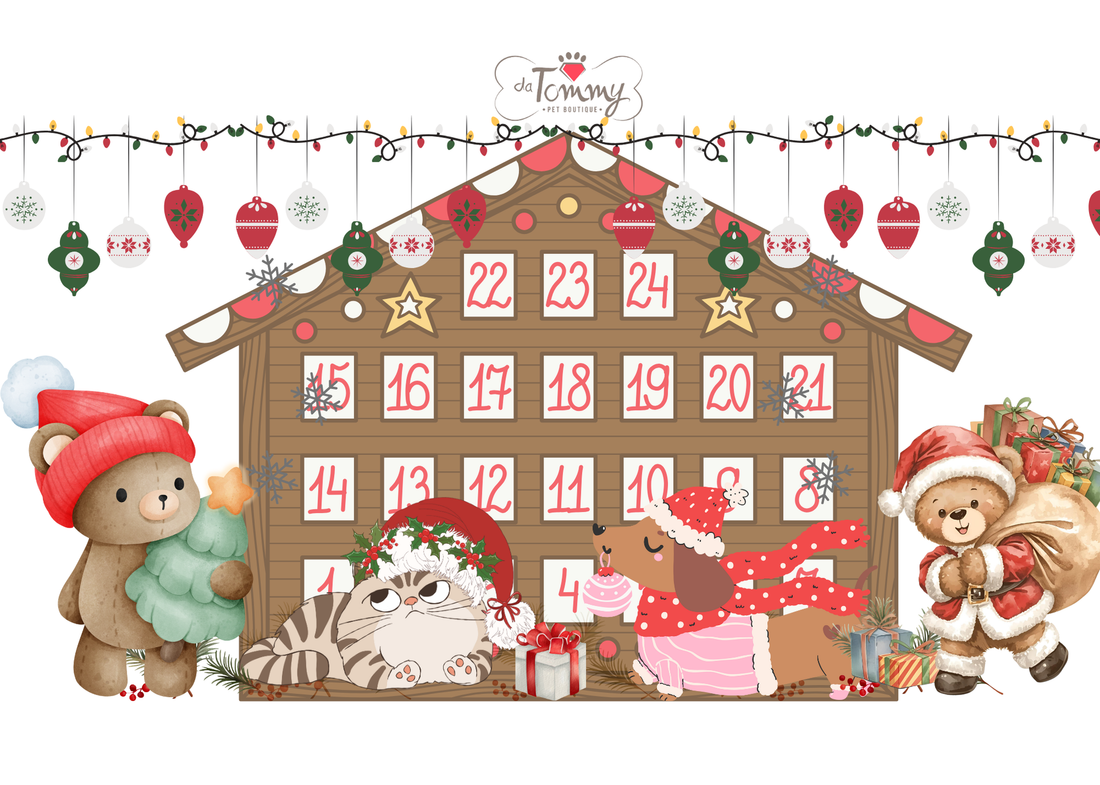 🎄 Calendario dell’Avvento per Cani e Gatti: la Magia del Natale da Vivere Insieme