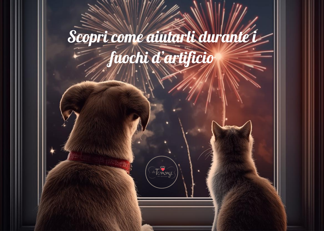 Capodanno con cani e gatti: come proteggerli dai fuochi d’artificio e ridurre la paura