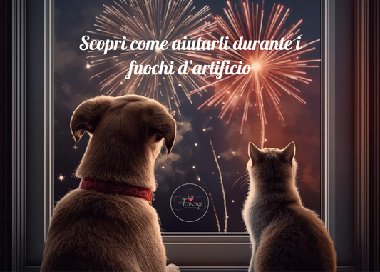 Capodanno con cani e gatti: come proteggerli dai fuochi d’artificio e ridurre la paura