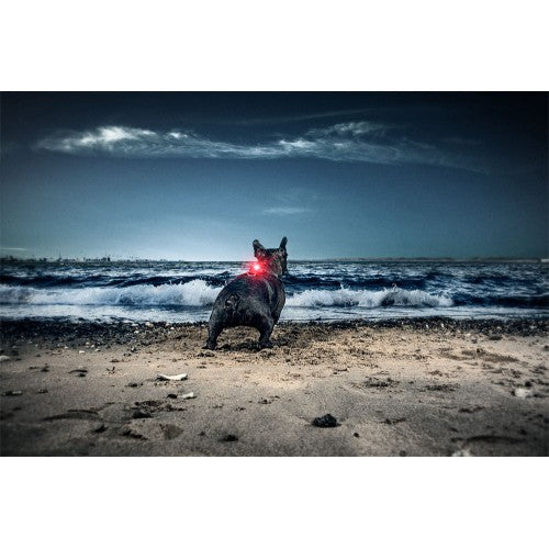 NON PERDERMI DI VISTA!